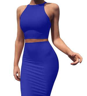 Slim Fit Crop Top and Skirt Set - Function123