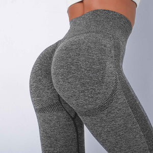 Seamless Fitted Leggings